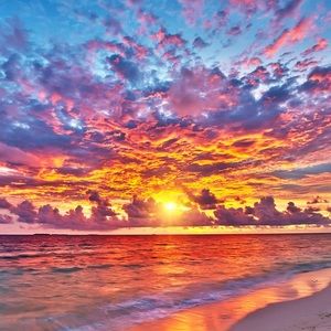 Meet your Posher, Katelyn